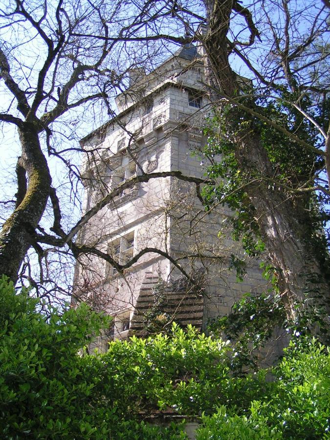 Chateau De Ternay Ternay  Buitenkant foto