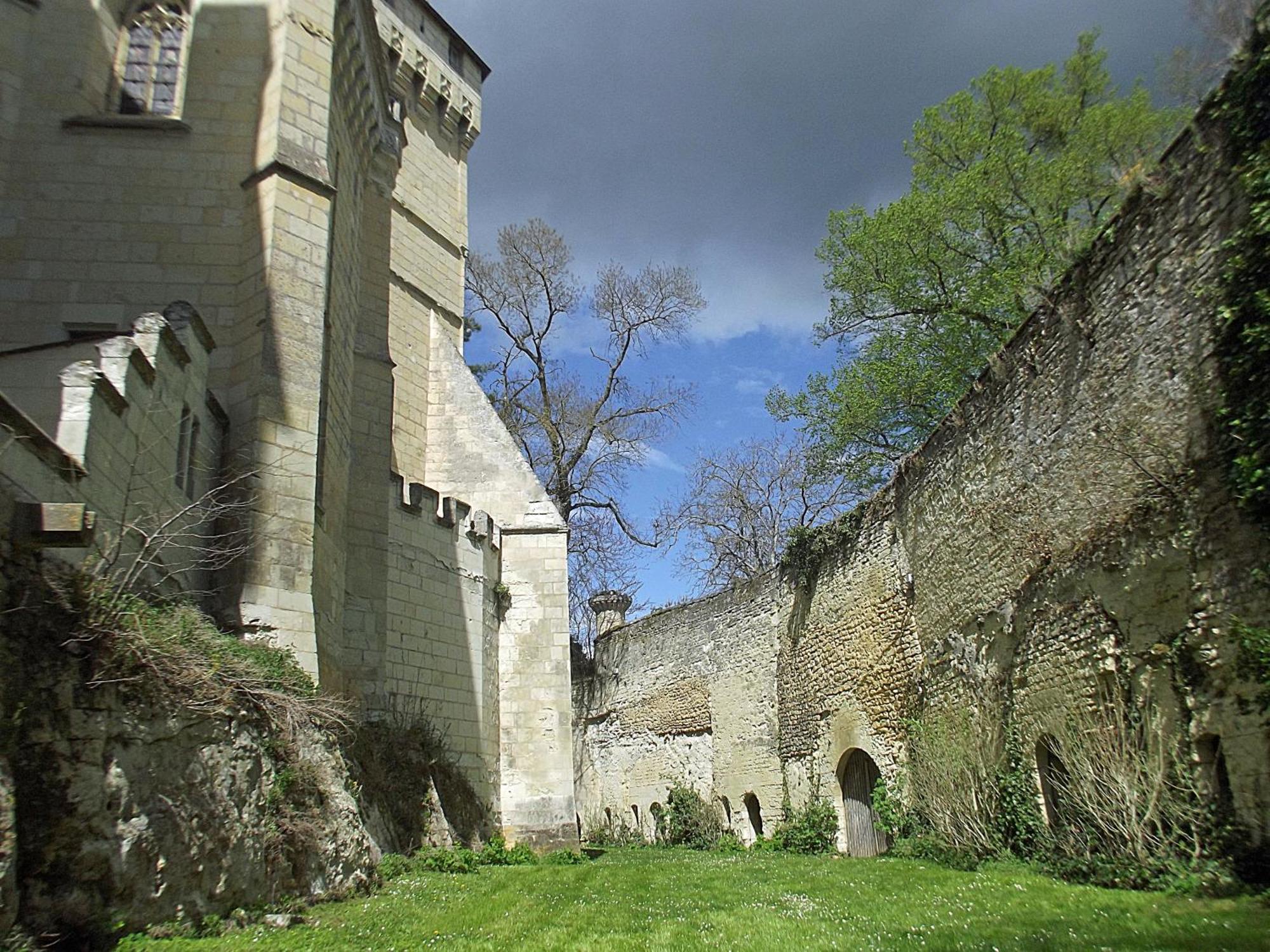 Chateau De Ternay Ternay  Buitenkant foto