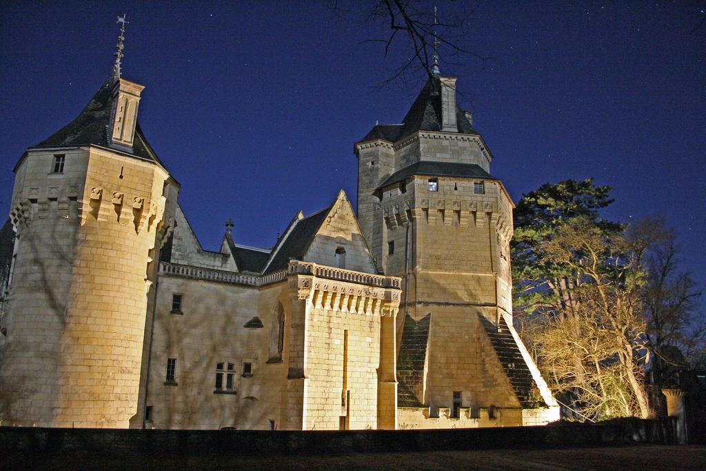 Chateau De Ternay Ternay  Buitenkant foto