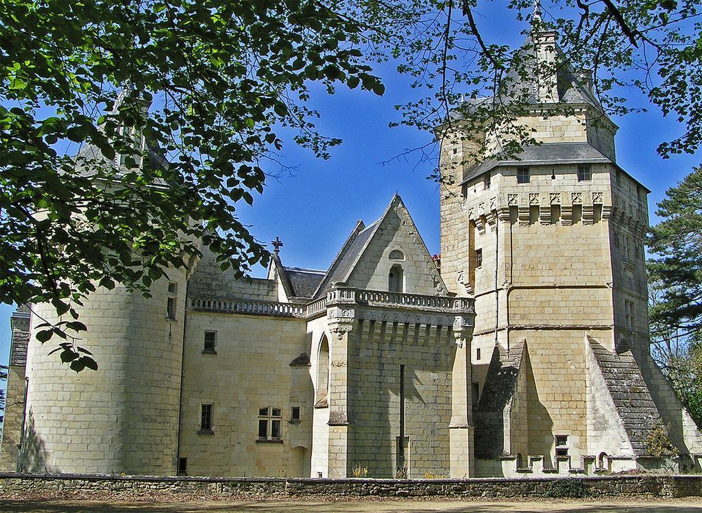 Chateau De Ternay Ternay  Buitenkant foto