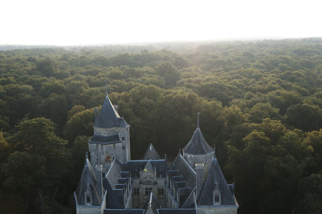 Chateau De Ternay Ternay  Buitenkant foto
