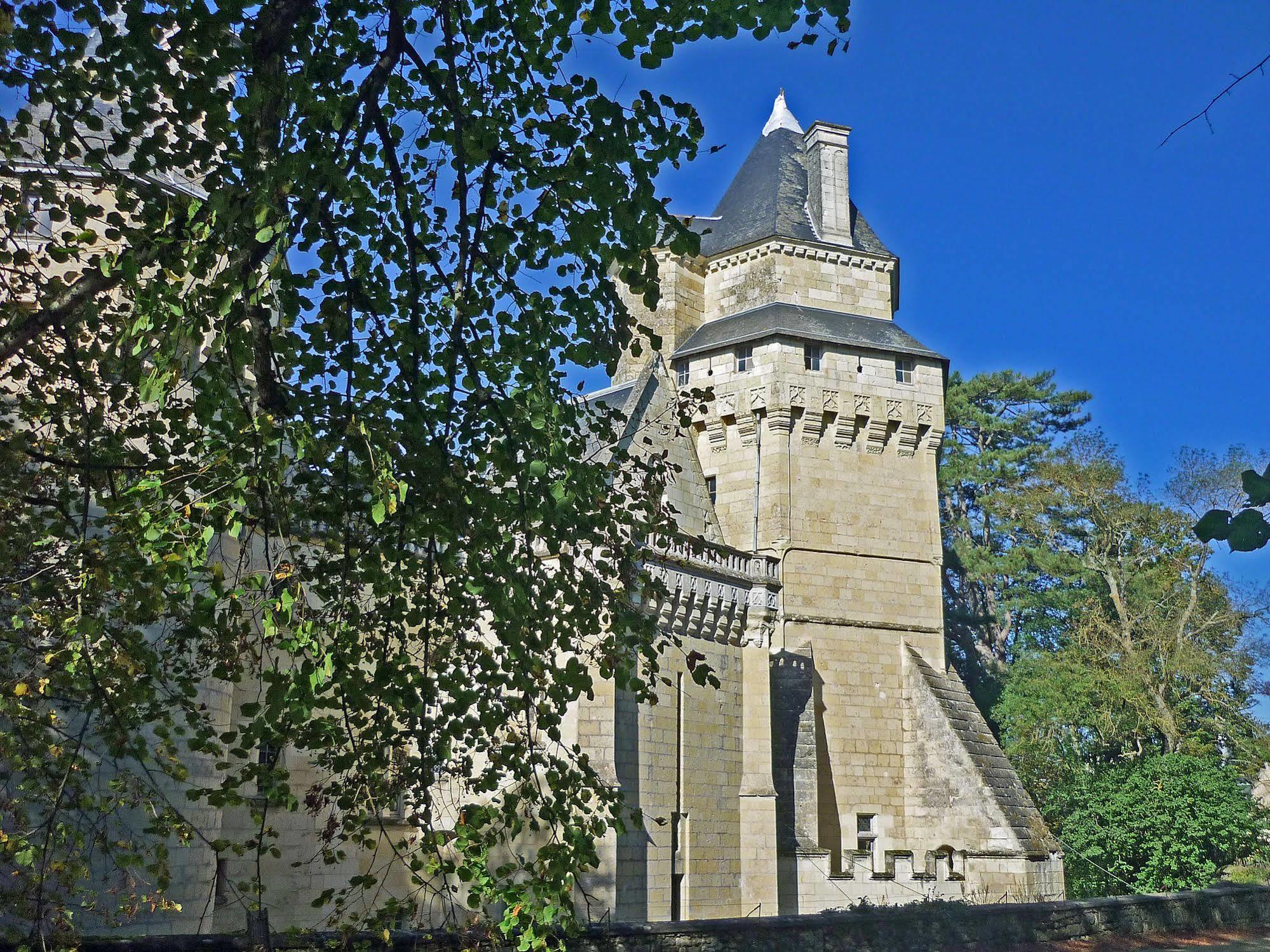 Chateau De Ternay Ternay  Buitenkant foto