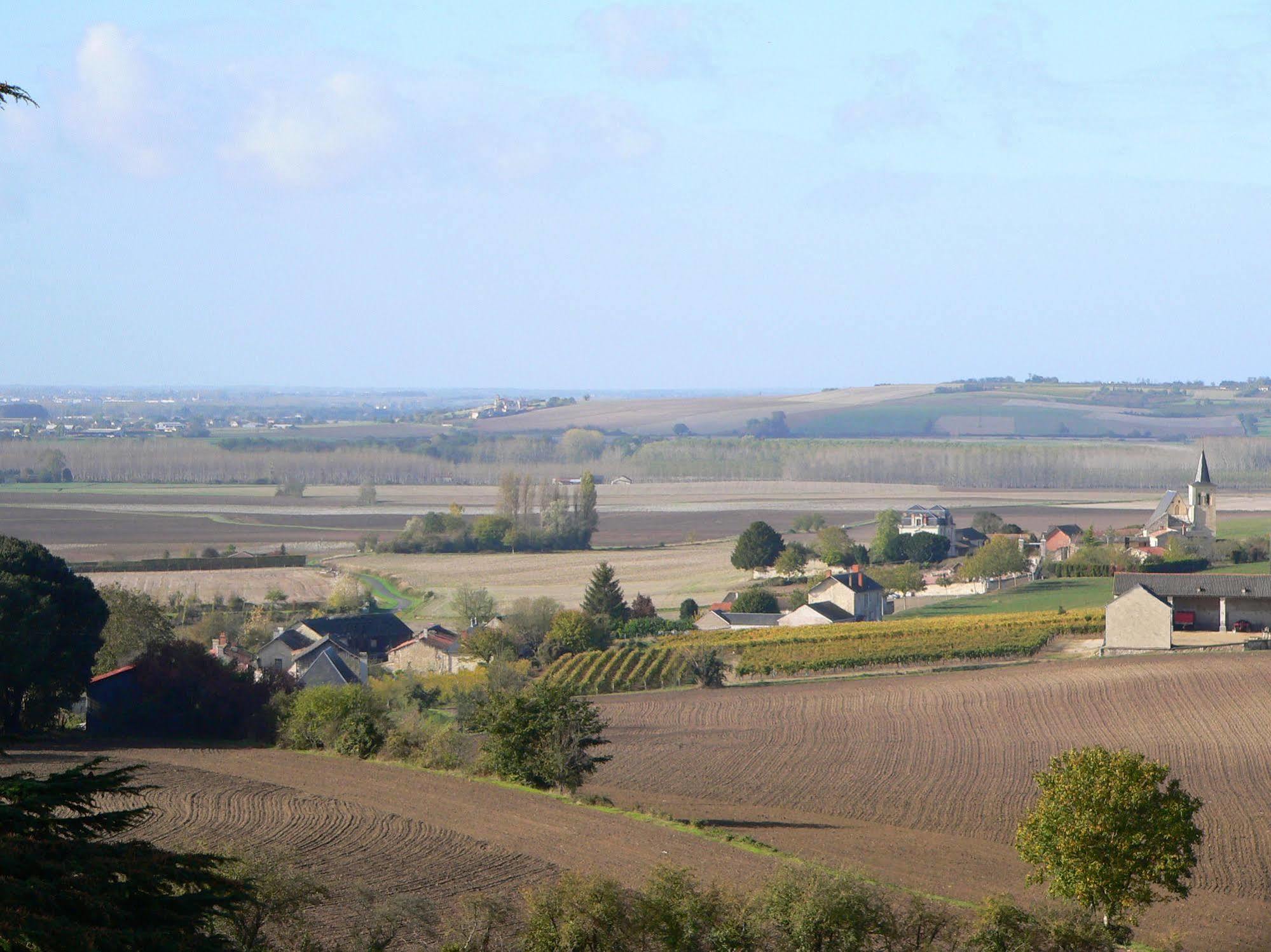 Chateau De Ternay Ternay  Buitenkant foto