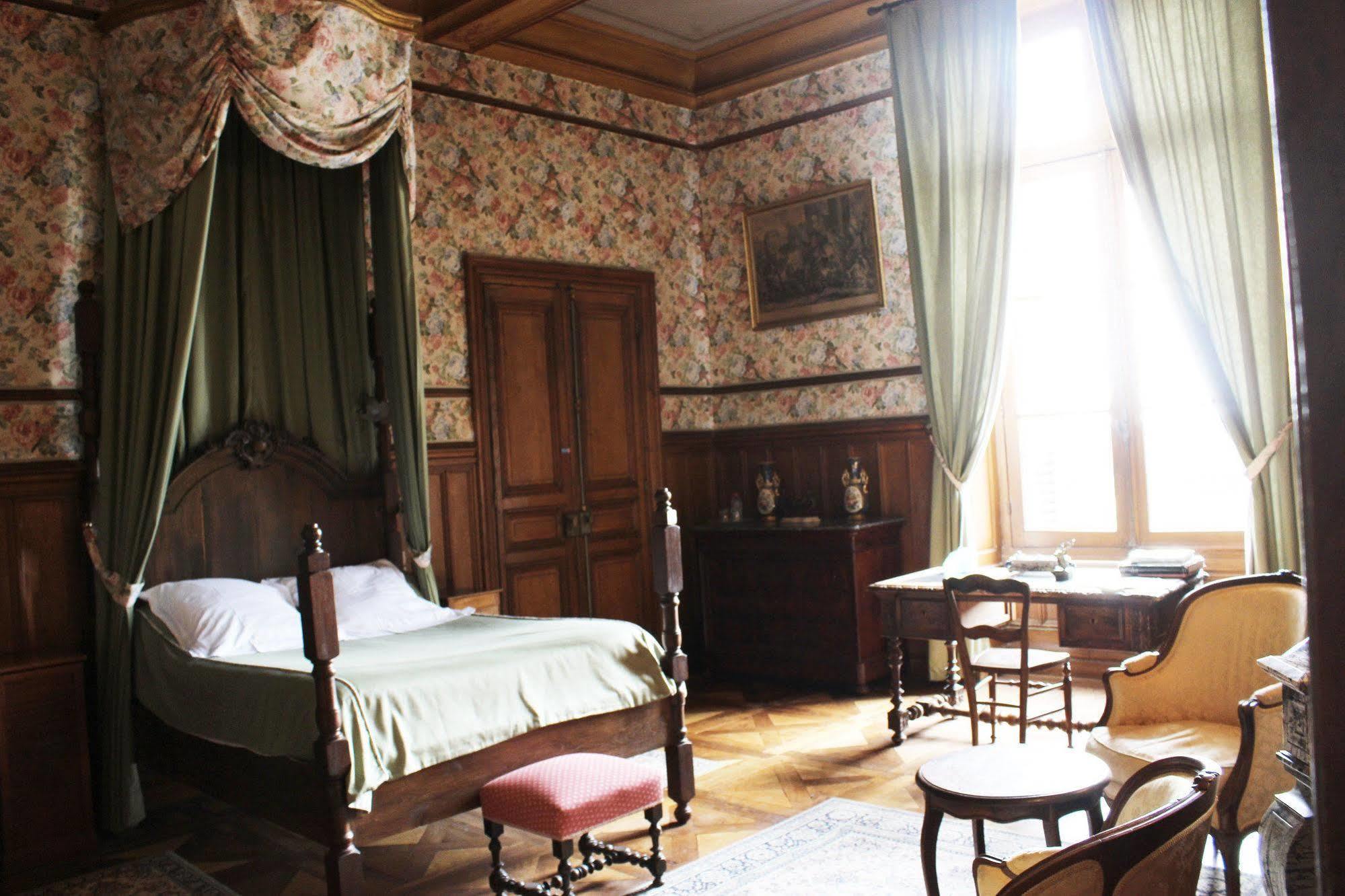 Chateau De Ternay Ternay  Buitenkant foto