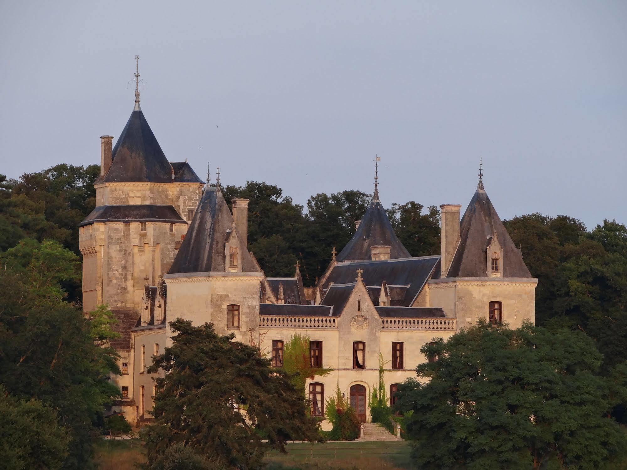 Chateau De Ternay Ternay  Buitenkant foto