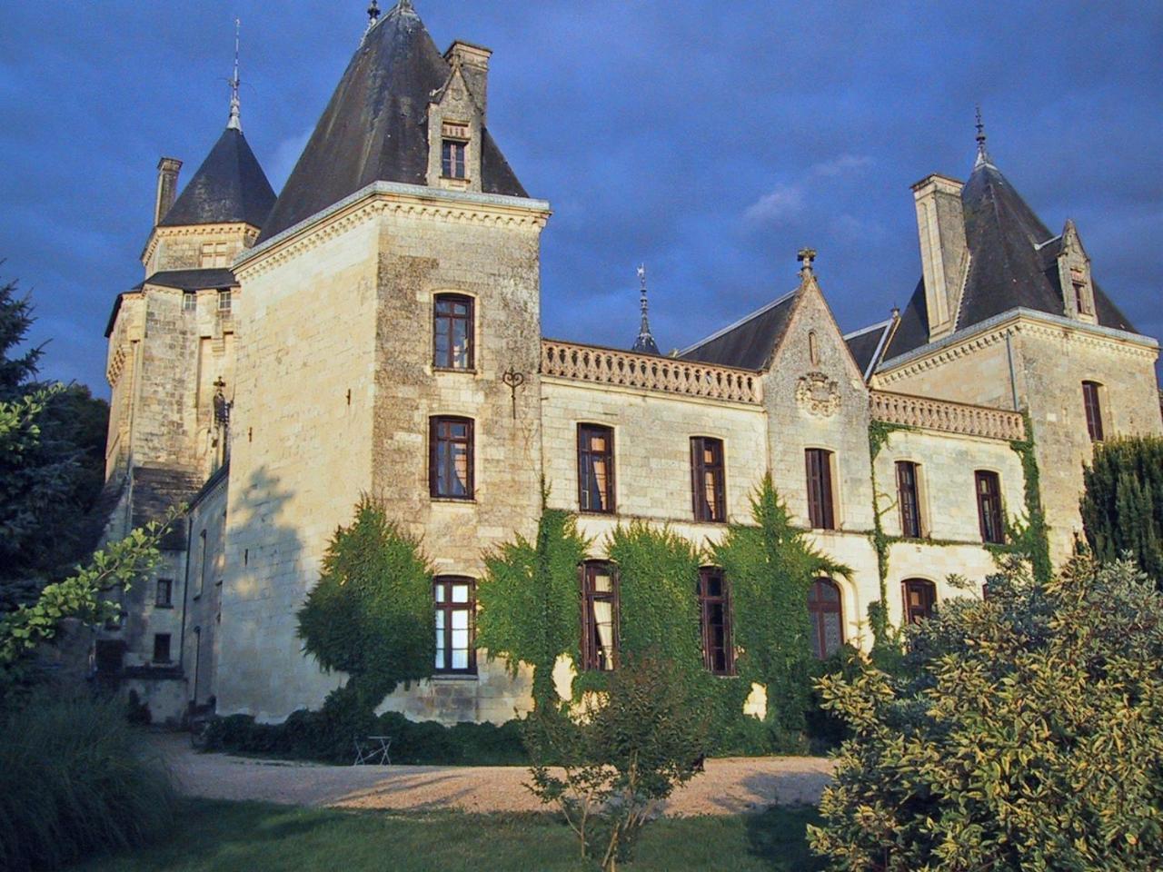 Chateau De Ternay Ternay  Buitenkant foto